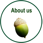  acorn & about us link