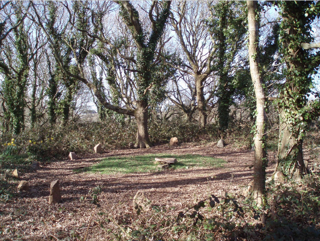  stone cirle in an oak grove