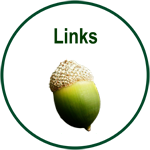  acorn & links link